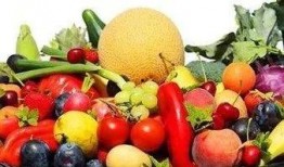 儿歌有瓜有果吃瓜的歌曲,有瓜有果，共享欢乐时光