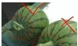 吃瓜把瓜吃没了,一场吃瓜盛宴的完美落幕