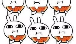 带你吃瓜吃粉丝的画面,带你领略美食盛宴