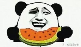 吃瓜群众进瓜园,一场甜蜜的田园之旅