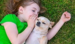 小孩吃瓜狗吃虫视频大全,小孩吃瓜狗吃虫，欢乐视频大盘点