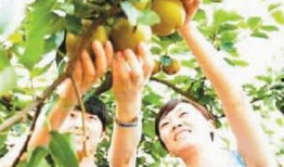 李黑李子吃瓜,揭秘娱乐圈幕后故事