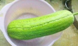 拂水瓜怎么吃,解锁夏日清新美味