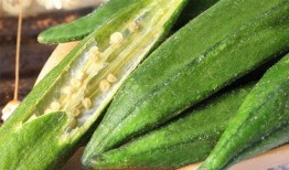 吃角瓜血糖太高,血糖飙升？揭秘角瓜的甜蜜陷阱与应对策略