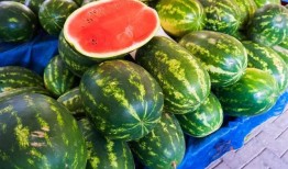 20年吃的瓜,年度热点事件回顾