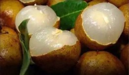 温州附二医吃瓜,真相揭秘，舆论漩涡中的医疗风波