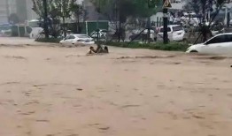 梦见下大雨吃瓜,大雨中瓜果飘香，揭秘梦境中的神秘体验