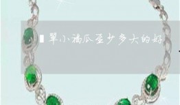 怀孕翡翠瓜可以吃吗,美味与营养的双重享受