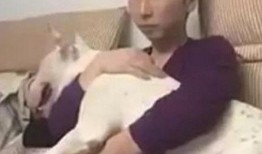 网友吃瓜惊讶现场,惊讶不已！