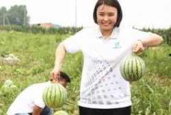 aki酱吃瓜群众,吃瓜群众的美食之旅