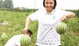 aki酱吃瓜群众,吃瓜群众的美食之旅