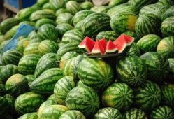 吃老瓜会发胖吗,吃老瓜真的会导致发胖吗？揭秘真相