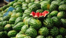 吃老瓜会发胖吗,吃老瓜真的会导致发胖吗？揭秘真相