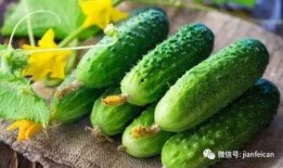 吃瓜吃青菜图片搞笑版,搞笑版吃瓜吃青菜大比拼