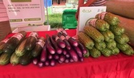 吃瓜聚集点,揭秘网络“吃瓜”聚集地的热点与奥秘