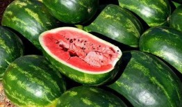 吃瓜吃青菜图片搞笑版,搞笑版吃瓜吃青菜大比拼