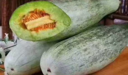 羊蜜瓜怎么吃