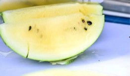 melon吃瓜,揭秘娱乐圈的甜蜜与苦涩