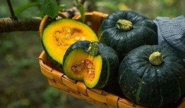 板栗南瓜花样吃瓜,解锁秋日美味新境界