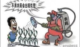 吃瓜 者被农药吃死了视频,吃瓜者不幸中毒身亡，警示食品安全不容忽视